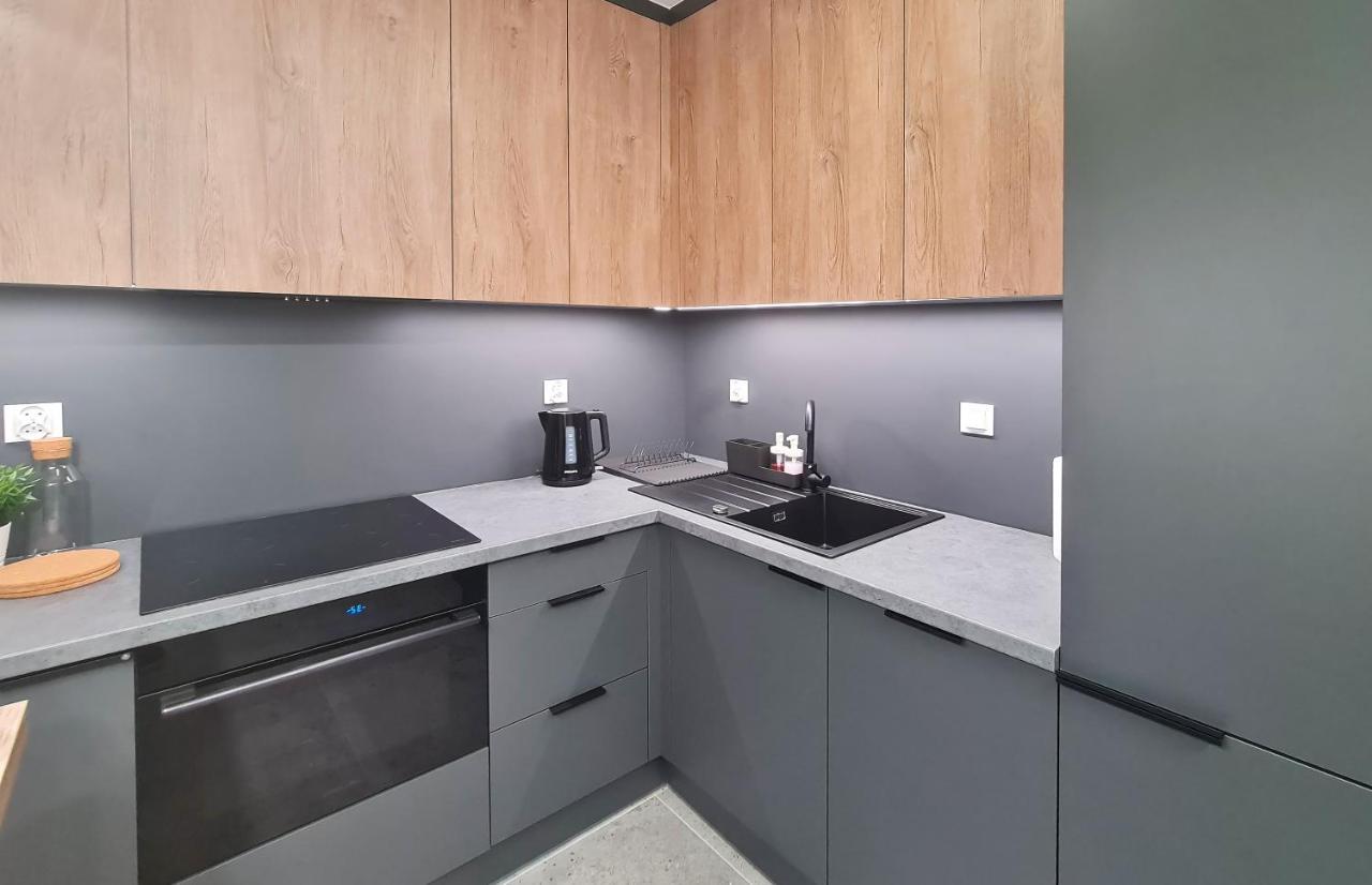Irs Royal Apartments Apartamenty Irs Nowoczesne Apartamenty Wrzeszcz 格但斯克 外观 照片